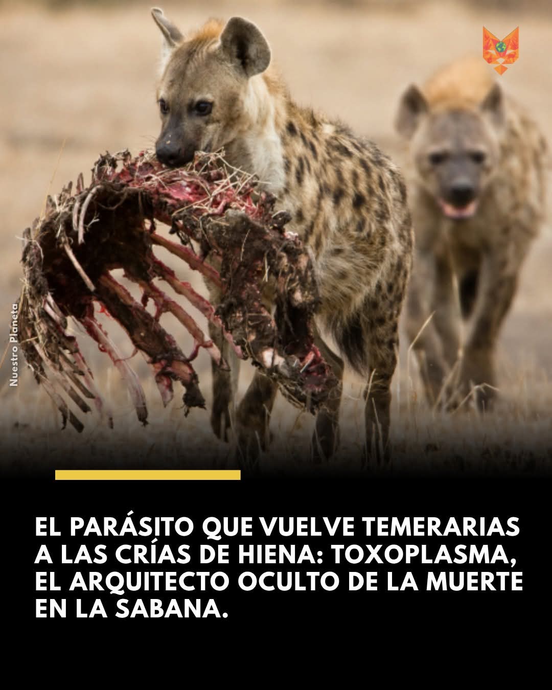 Imagen noticia